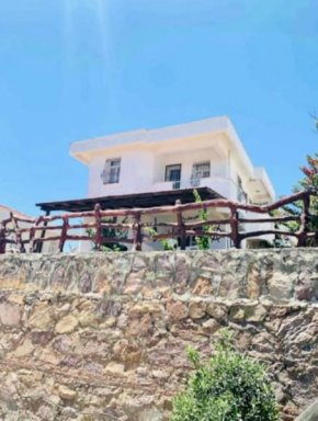 Villa 21